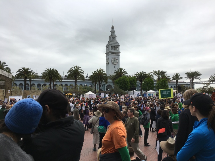 March for Science Rallying Point